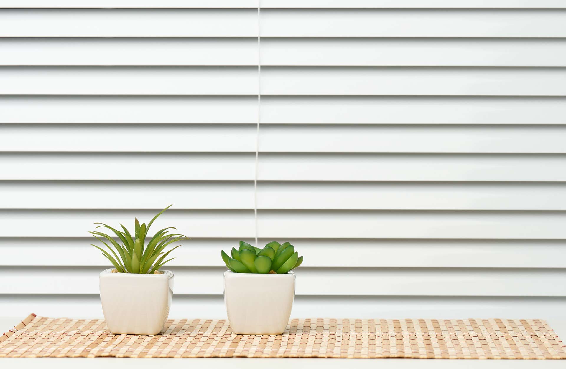 ceramic-pots-with-plants-on-a-white-table-copy-sp-2025-03-24-06-02-49-utc-1