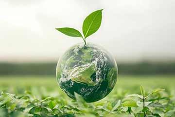 eco-frinedly-blind-cleaning The Blind Guy has eco friendly blind cleaning services.